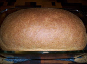 Low Carb Carbalose Flour Bread