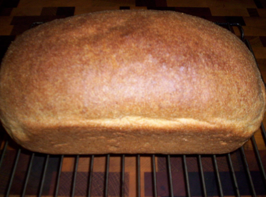Low Carb Carbalose Flour Bread - Diabetic Chef's Recipes