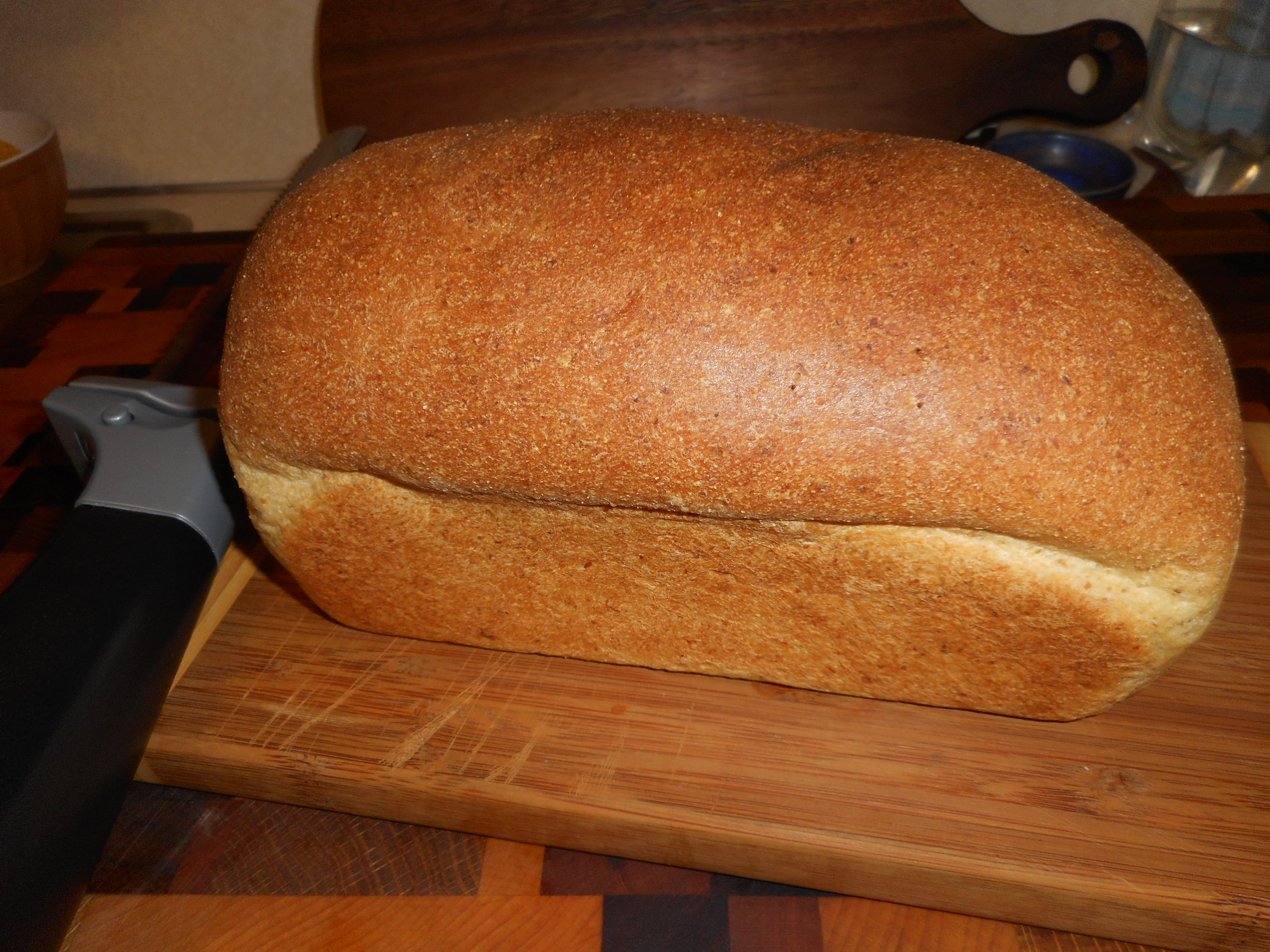 Low Carb Carbalose Bread Diabetic Chef's Recipe