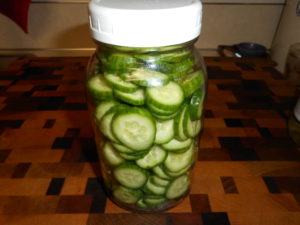 Keto Pickled Persian Cucumbers