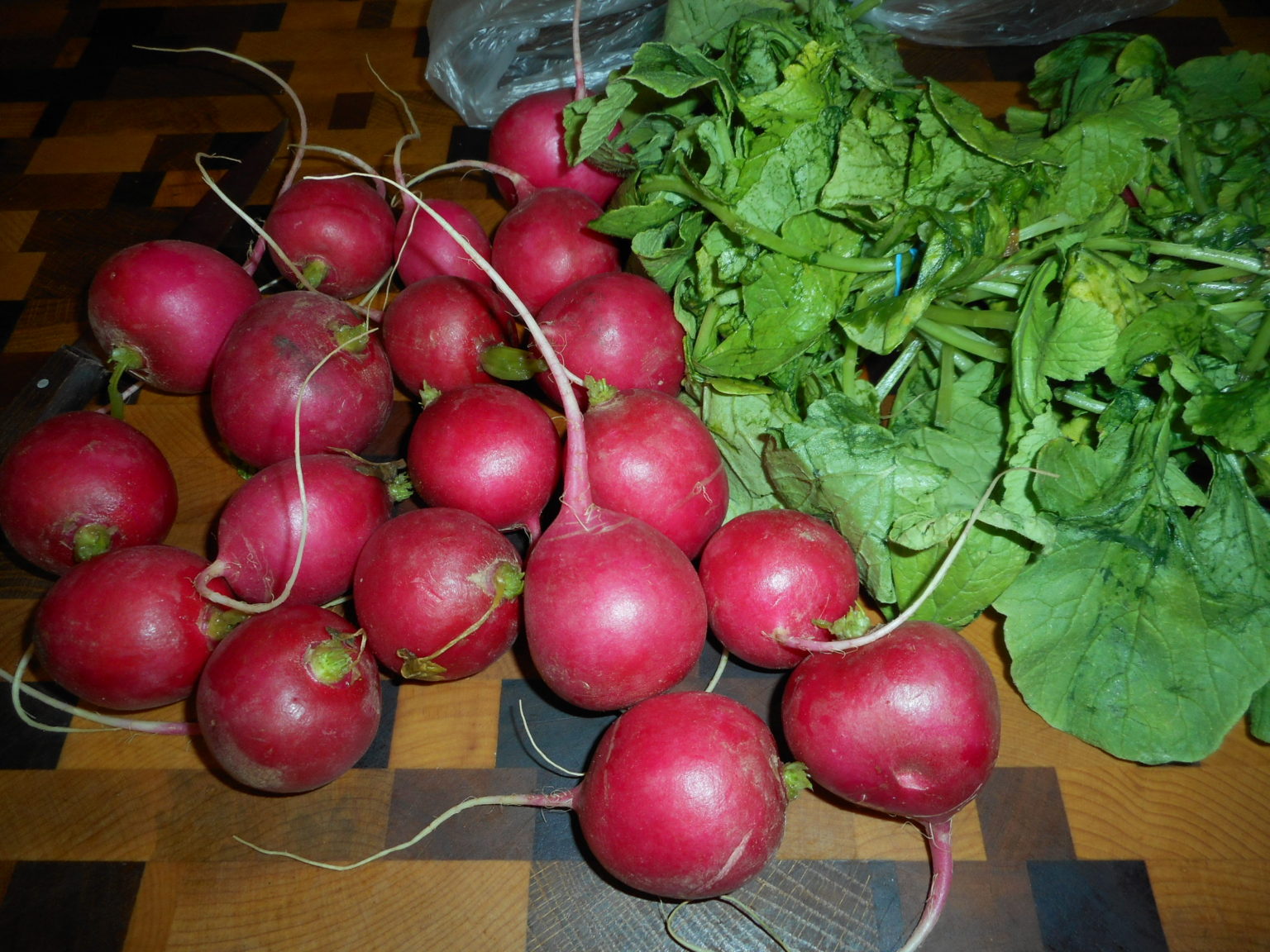 Keto Dilled Red Radishes Diabetic Chef's Recipes